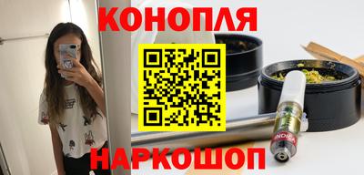 Альфа ПВП Можга