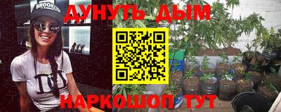 Альфа ПВП Можга