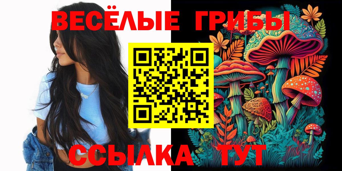 Шадринск  Псилоцибиновые грибы Cubensis  Вход с VPN  Псилоцибиновые грибы мицелий 